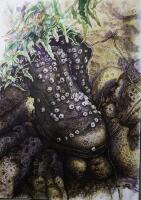 Картина «Башмак моряка»