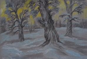 Пейзаж «Зимний парк»