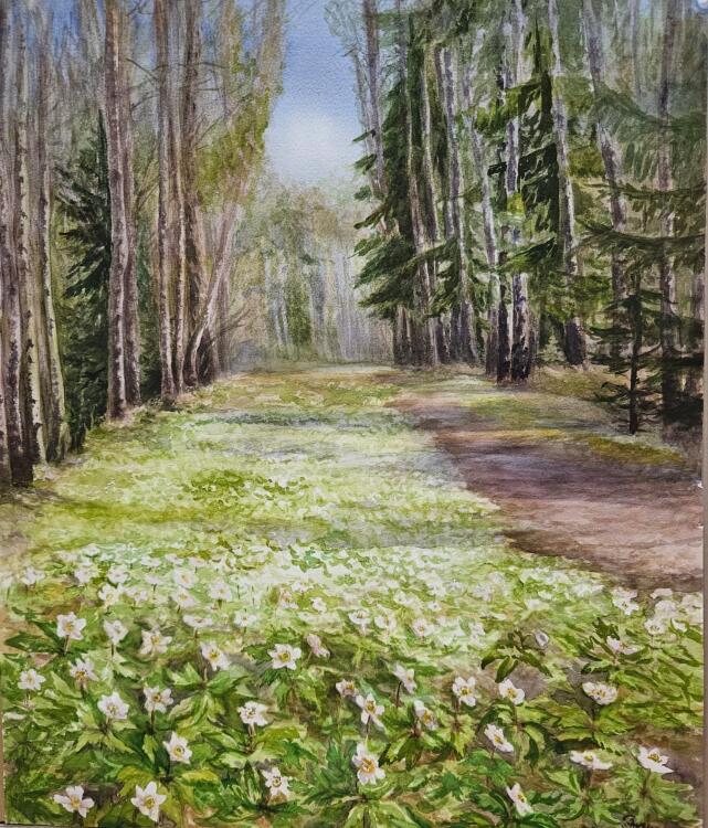 Пейзаж «Ветренница цветет»