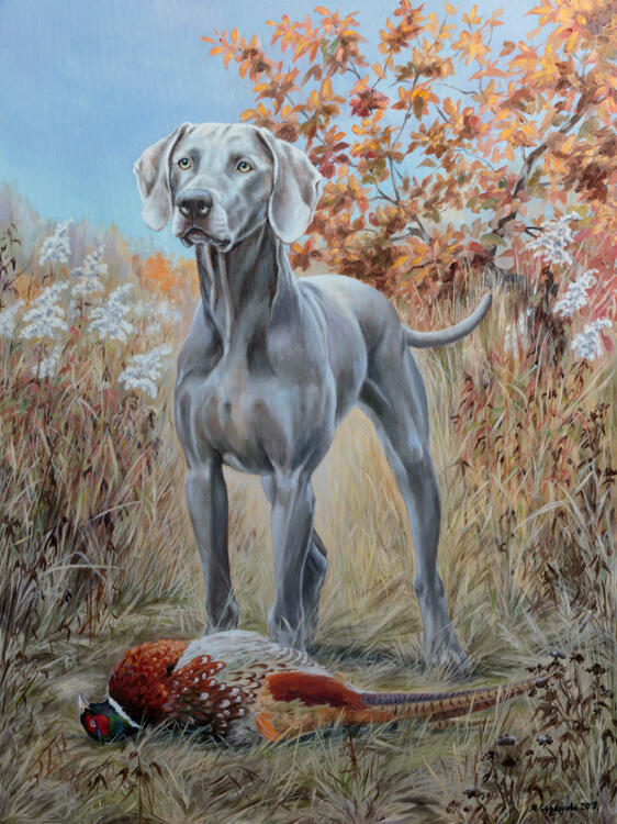 Картина «Веймаранер. Охота на фазана»