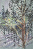 Пейзаж «Огниково»