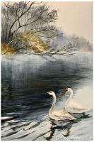 Картина «Лебеди на пруду»
