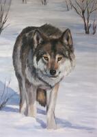 Картина «Волк»